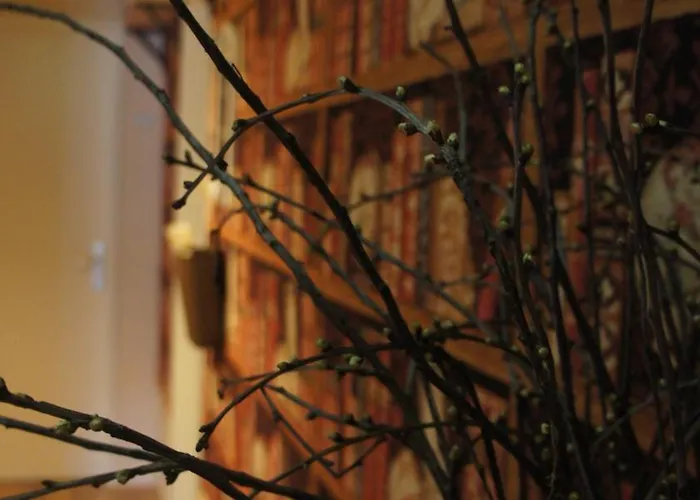 بيت ضيافة Lazey