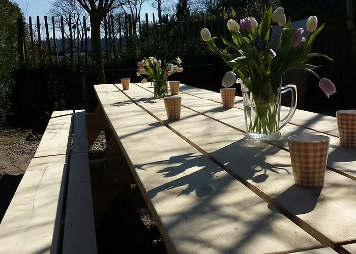 Lazey بيت ضيافة فورتهاوزن