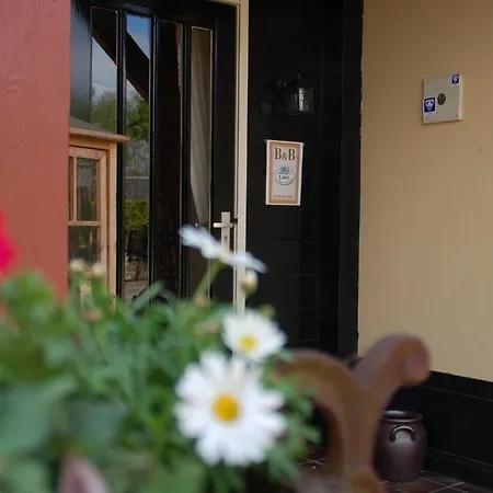 Lazey ゲストハウス 3*