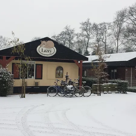 Lazey 3* フォールトハイゼン