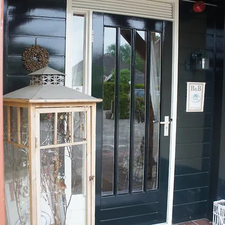 Lazey フォールトハイゼン